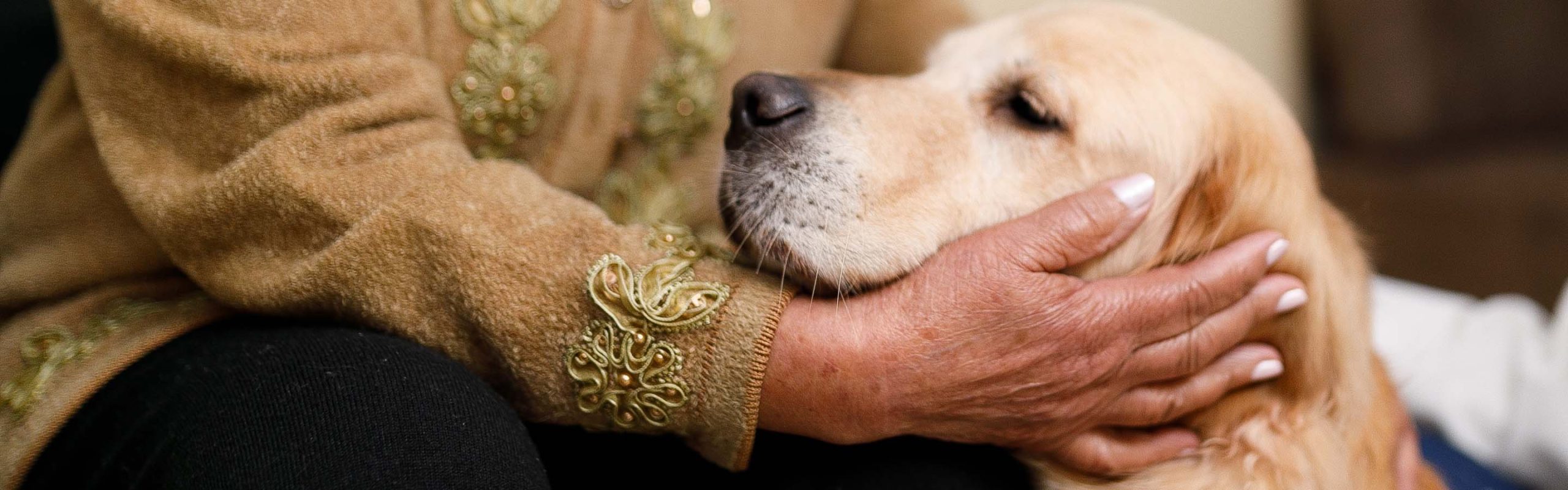 makiandampars - taking care of old cats and dogs