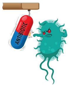 makiandampars - antibiotic resistance